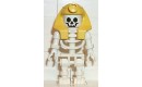 Skeleton with Standard Skull, Yellow Mummy Headdress