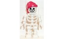 Skeleton with Standard Skull, Red Bandana