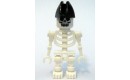 Skeleton with Evil Skull, Bicorne Hat