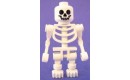 Skeleton, Fantasy Era Torso with Standard Skull, Mechanical Arms Bent