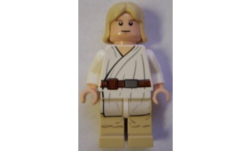 Luke Skywalker (Tatooine, Light Flesh, White Pupils) sw273