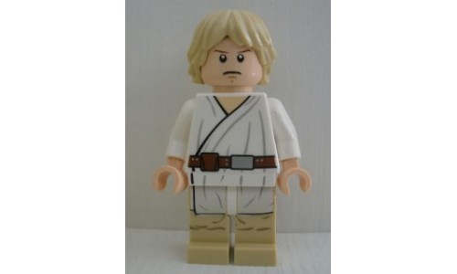 Luke Skywalker (Tatooine, Gray Visor on Reverse of Head) sw335