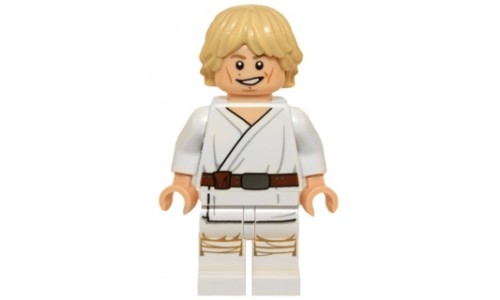 Luke Skywalker (Tatooine, White Legs, Detailed Face Print) sw551