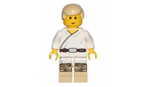 Luke Skywalker (Tatooine) sw566